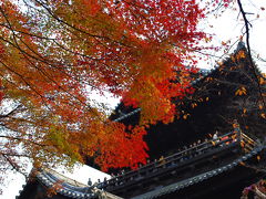 京都 紅葉狩り２００９　⑥南禅寺編