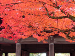 京都の紅葉◆紅く染まる南禅寺