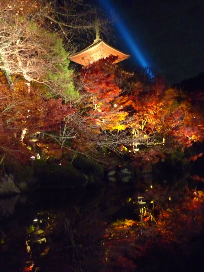 日中は奈良公園を散策し、次に向かったのは京都。<br /><br />先日の紅葉ハイクでは高台寺のライトアップに行ったものの、あまりの混雑ぶりに消化不良の感が残っていたので、リベンジすべく今回は清水寺を攻めてみようかと・・・