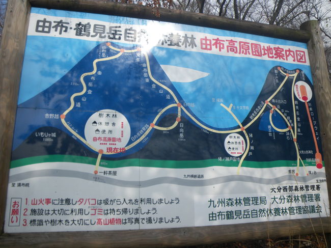 秋の終わりに、由布岳登山をしてきました。<br /><br />登山中はあいにくガスがかかっていて眺めがあまり良くなかったのですが、徐々に晴れてきて11月の終わりとは思えないほどの天気でした。<br /><br />登山後の温泉と食事は最高でした。