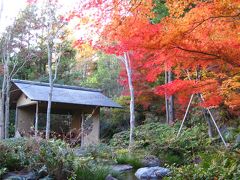 11月下旬の昭和記念公園　紅葉