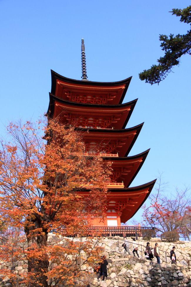 【紅葉を訪ねて】<br />世界文化遺産、日本三景の一つ、安芸の宮島の美しい紅葉！593年創建の国宝・厳島神社や鮮やかな朱色の大鳥居！高さ16.6m、棟の長さ24.2m、主柱周り9.9m、総重量60tという。その他 高さ27.6mの美しい五重塔。紅葉谷公園には約200本の紅葉の木。その美しさは山陽、山陰でも屈指の名所である。宮島は四季を通じて見るところが多い・・また、何といってもこの時期はあなご丼や焼き牡蠣、かきうどんなど海の幸料理、食べ物も見逃せない・・お勧め！
