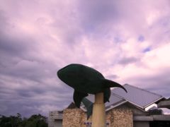 はいさい～！沖縄⑤　～3日目　いざ、北へ！沖縄観光編～