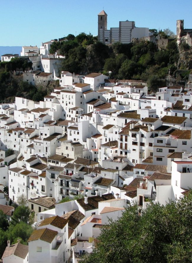 カサレス(Casares)。<br />地中海から10kmほど山側に入った、アンダルシアの小さな村です。<br />小高い山の頂上に中世の城跡と教会、その下の斜面に白い家々がびっしりと張り付いて、全体としてとても調和のとれた景観になっています。<br />村の名はローマ皇帝シーザー(カエサル)が近くの湯治場を使ったことに由来しているそうで、ずいぶん古くから人が住みついていたことになります。<br />日本では「カサーレス」とする本もあります。<br /><br />遠方からの旅行者にとっては、ちょっと不便なところです。<br />村への起点となる海沿いの町エステポナ(Estepona)からのバスは、1日2往復のみ。一軒だけのペンションは開いているのかいないのか、情報も不足気味です。<br />『日帰り』するか『宿泊』するか。一応、どちらにも対応できるよう心づもりをして、とりあえず行ってみることにしました。<br /><br /><br /><br />
