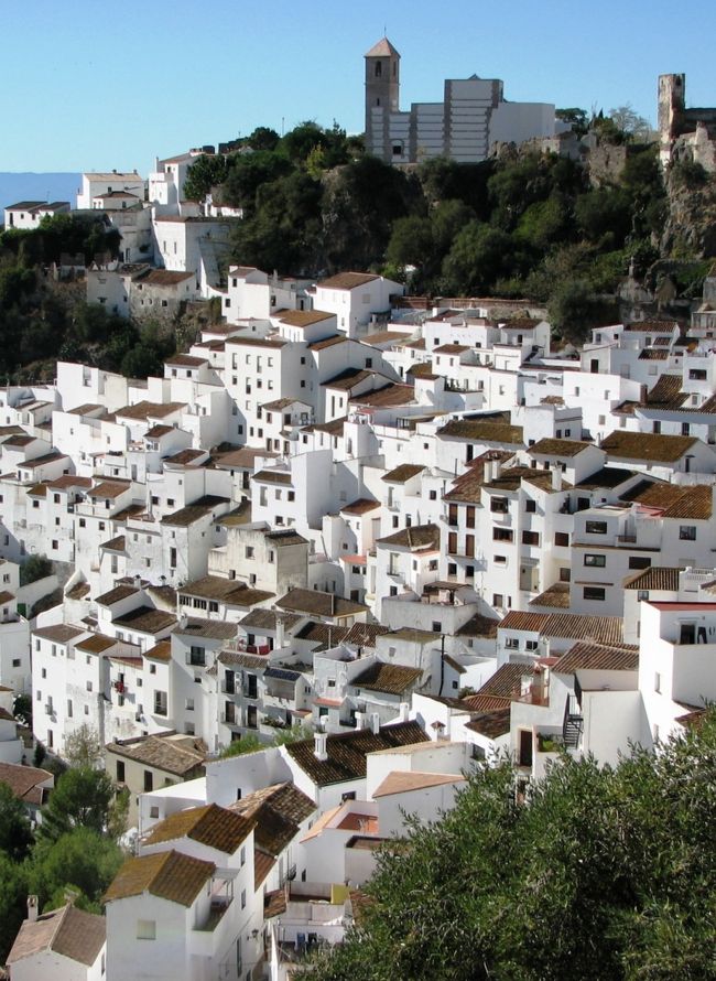 カサレス(Casares)。<br />地中海から10kmほど山側に入った、アンダルシアの小さな村です。<br />小高い山の頂上に中世の城跡と教会、その下の斜面に白い家々がびっしりと張り付いて、全体としてとても調和のとれた景観になっています。<br />村の名はローマ皇帝シーザー(カエサル)が近くの湯治場を使ったことに由来しているそうで、ずいぶん古くから人が住みついていたことになります。<br />日本では「カサーレス」とする本もあります。<br /><br />遠方からの旅行者にとっては、ちょっと不便なところです。<br />村への起点となる海沿いの町エステポナ（Estepona）からのバスは、1日２往復のみ。一軒だけのペンションは開いているのかいないのか、情報も不足気味です。<br />『日帰り』するか『宿泊』するか。一応、どちらにも対応できるよう心づもりをして、とりあえず行ってみることにしました。<br /><br /><br /><br />