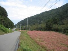 行者そば「梅庵」　＠南信州　伊那