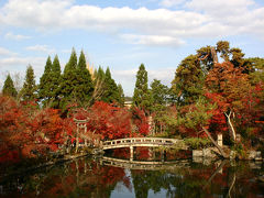 京都の紅葉◆深紅に輝く永観堂