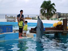 はいさい～！沖縄⑥　～3日目　『沖縄美ら海水族館』イルカ触れ合い♪～