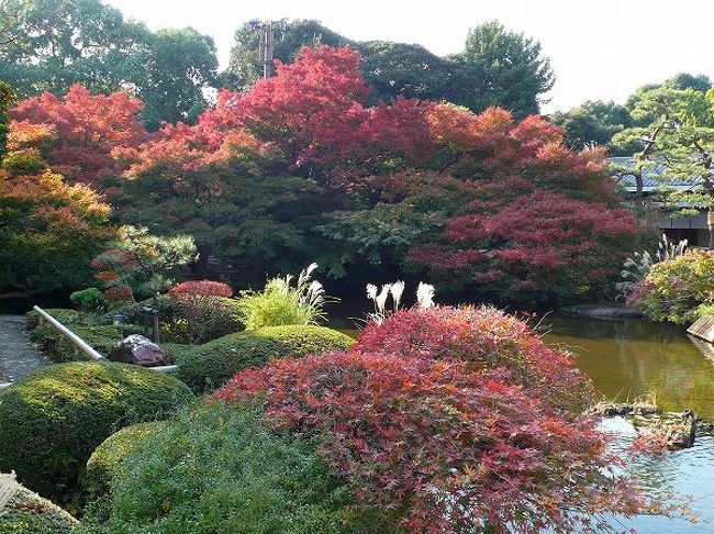 紅葉回廊 ニューオータニ庭園 赤坂 東京 の旅行記 ブログ By もろずみさん フォートラベル