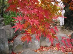 2009年11月☆須磨離宮公園・姫路城巡り♪ 