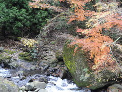 持越川を上って行って…