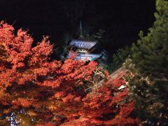 京都紅葉めぐりバスツアー　むちゃ疲れた編　