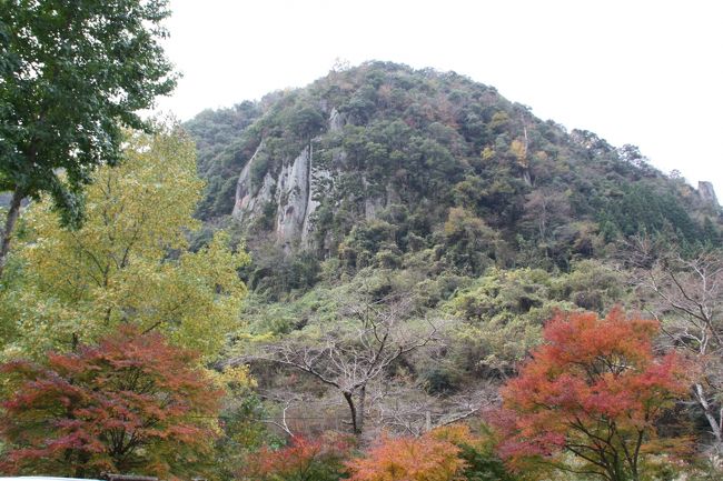 九年庵(詳しくは北九州紅葉の旅②で紹介)の紅葉と清水の滝のライトアップを見るツアーに参加しました。<br />初日は、早朝新幹線で新大阪から小倉に行き、小倉からバスで青の洞門、深耶馬溪、秋月城址と回り夕刻清水の滝のライトアップを見ました。<br />今回はなんとバス４台、しかも申込が遅かったので４号車の後ろから２列目でした。総勢１６０名添乗員が４名もつくツアーは初めてです。九年庵の特別公開が９日間だけなので、人気のコースのようです。