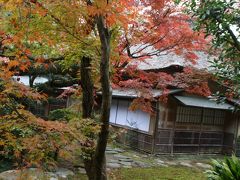 北九州紅葉の旅②(九年庵・柳川・菊池渓谷)