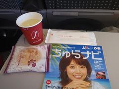 おとくdeマイルで４日間那覇へ　1日目