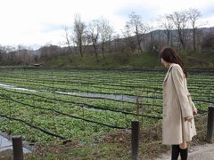 ＊冬空の安曇野を行く＊松本城・大農わさび農園・穂高神社