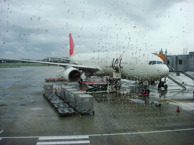 基本的に私が伊丹から乗るのはJAL１２０便としています。<br />この日は天候が荒れていてどんよりとした空でした。