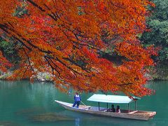 紅葉の古都　京都（嵯峨野：嵐山公園～保津川）