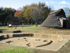 大塚・歳勝土遺跡公園