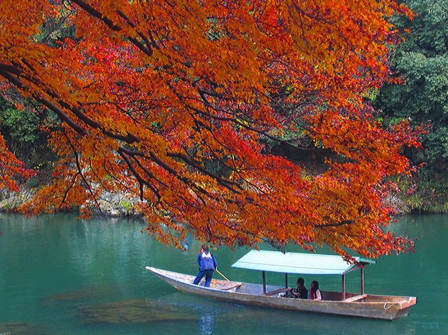 天候にも恵まれ大満足だった大河内山荘を後にあわただしかった昨年を反省して今年は嵐山付近でゆっくり紅葉狩りを楽しむことにしました。<br /><br />◆◆◆comevaの紅葉マップ◆◆◆<br />http://waiwai.map.yahoo.co.jp/map?mid=6rGrC3PEmNGJX5W6e.CDezPy7FjltnhBeQ-- <br />●紅葉の古都 京都 2008前編<br />http://4travel.jp/traveler/comeva/album/10290405/<br />●紅葉の古都 京都 2008後編<br />http://4travel.jp/traveler/comeva/album/10294092/<br /><br />●嵯峨野の紅葉 2008年<br /><br />北嵯峨:直指庵<br />http://4travel.jp/traveler/comeva/album/10294180/<br />北嵯峨:護法弁財天~愛宕念仏寺<br />http://4travel.jp/traveler/comeva/album/10295068/<br />北嵯峨:化野念仏寺<br />http://4travel.jp/traveler/comeva/album/10295287/<br />奥嵯峨:宝筐院<br />http://4travel.jp/traveler/comeva/album/10295297/<br />奥嵯峨:祇王寺<br />http://4travel.jp/traveler/comeva/album/10293923/<br />奥嵯峨:厭離庵<br />http://4travel.jp/traveler/comeva/album/10295294/<br />奥嵯峨:常寂光寺<br />http://4travel.jp/traveler/comeva/album/10295302/<br />嵯峨野:宝厳院<br />http://4travel.jp/traveler/comeva/album/10295304/<br /><br />嵯峨野:大河内山荘 2009年<br />http://4travel.jp/traveler/comeva/album/10406028/<br /><br /><br />