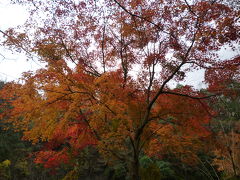 紅葉を求めて養老渓谷へ