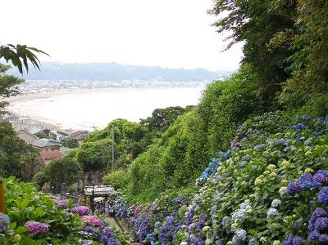 080619紫陽花の鎌倉しっかり歩き(1)より続く<br />http://4travel.jp/traveler/mimeika/album/10406620/<br /><br />http://mimeika.blog13.fc2.com/blog-entry-124.html