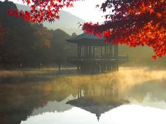 紅葉の古都　奈良（奈良公園～名勝 依水園）