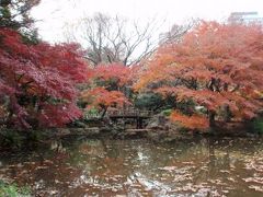 日比谷公園の紅葉