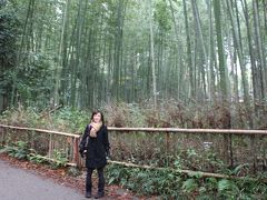 京都旅行記①紅葉