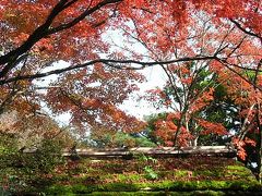 長岡天神の紅葉＆秋景色