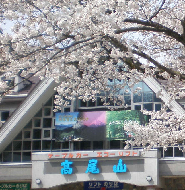 桜、山菜、足湯にビール。。。<br /><br />高尾山は手軽に楽しいスポットです♪<br /><br /><br />ミシュラン紹介以降非常に混んでる・・・と覚悟していったのですが、運がよかったのか全然平気でした。