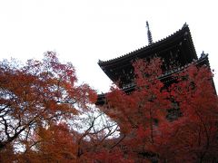 京都の紅葉穴場スポット　～岡崎　無燐庵～