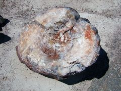 Sedona, Petrified Forest National Park　（2005年春の旅行記）