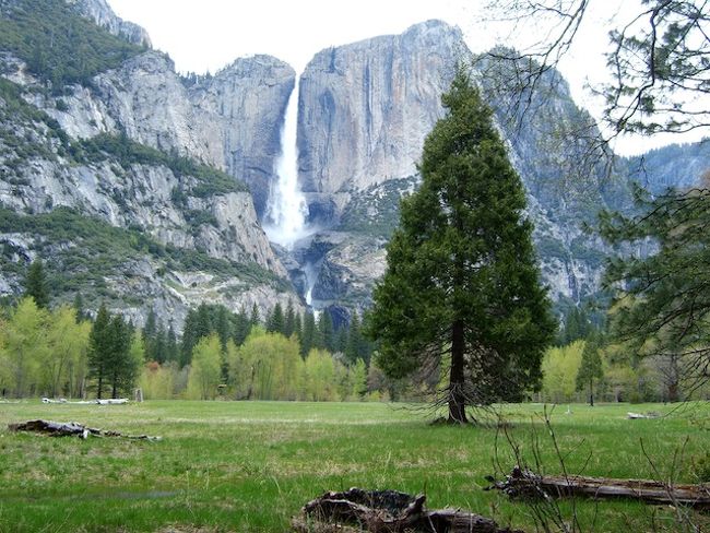 Yosemite　（2005年春の旅行記）