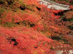'09紅葉の京都をユク－前編①　～床紅葉の岩倉実相院門跡～