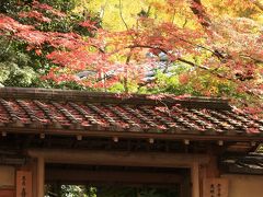 '09紅葉の京都をユク－前編②　～八瀬瑠璃光院の紅葉～