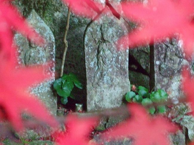 錦繍の古都の紅葉を堪能した後は、広島の紅葉の名所「三瀧寺」へ行って来ました。<br /><br />三瀧寺は標高３５６mの宗箇山（三滝山）中腹に位置する真言宗の古寺<br />駒ヶ滝，梵音の滝，幽明の滝の三滝に由来する<br /><br />市中心部近くにありながら<br />木々におおわれた苔生す坂道の参道は，静寂で侘び寂を感ずる趣<br />参道沿いには磨崖仏，石像，石塔，句碑がずらり<br />その数ざっと六百という<br />桜，紅葉の名所でもあります。 <br />
