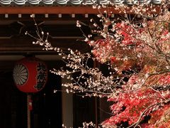 '09紅葉の京都をユク－前編③　～赤山禅院もみじ祭～