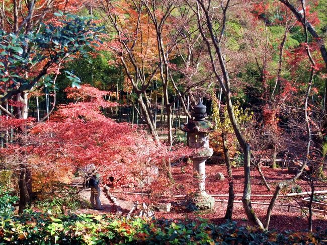 　京都の紅葉ももう終わりかと思っていたのですが、ネットで見ると嵐山の紅葉が残っているとの情報が載っていました。<br /><br />　１２月初めの日曜日、往く秋の余韻を求めて、嵐山から嵯峨野を歩いてきました。<br /><br />