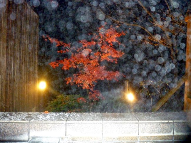 お誕生日に欲しいものと言われ、温泉と言ったら那須だとサファリにもいけるのでサファリに行きたいという子供と一緒に行ってきました。宿はペンションに泊まり貸切り露天風呂を楽しみ、夕飯のチーズフォンジュ食べ放題、アイスクリーム食べ放題でおなかも満たされ、ゆっくりできました。また石鹸作りキャンドル作りなども体験でき楽しめます。帰りにはお台場で夜景も楽しめました。1泊2日でしたが、満足度が高い旅でした。