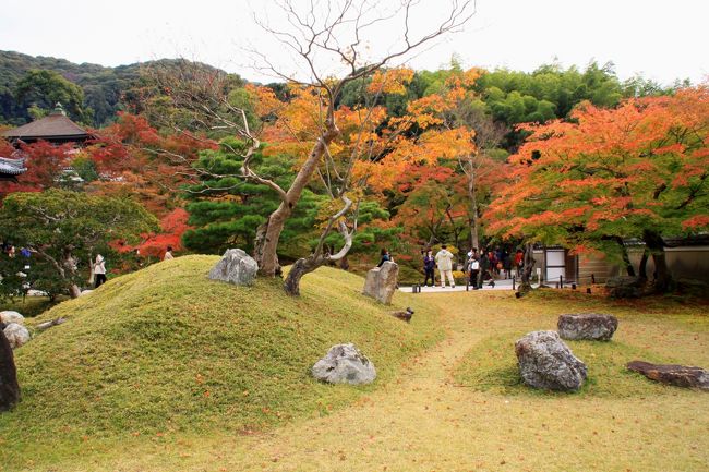 私の職場では１年に１度、半強制？の職場旅行があります。このたびは秋の気候のよい時期に本当は飛騨高山だったのが諸般の事情により京都・滋賀に変更。<br />しかも宿泊が大阪・梅田というちょっと変なコースの旅行。<br />２日目は、京都祇園・建仁寺付近で自由行動となったので、夏にも訪れた建仁寺に行ったのですが、この秋の休日に法要のため拝観はできないとのこと。<br />そこで東に向かい、安井金比羅宮から高台寺、そして圓徳院に行きました。<br />
