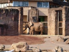 写真撮影会 in 多摩動物公園