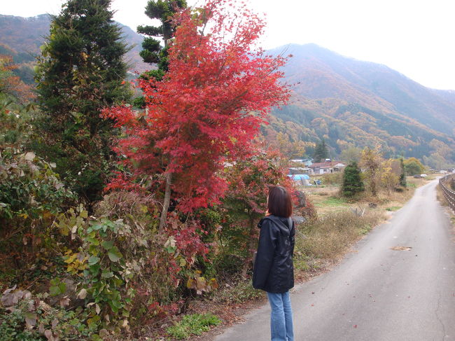 紅葉の季節に温泉。<br />近場で紅葉がきれいで、温泉も入れるところを<br />探しました。<br /><br />老神温泉に泊まって、吹割の滝を見るのがいいなと。<br />すると、この時期、土日には上越線に蒸気機関車も<br />走っているとのこと。<br /><br />帰りはＳＬで、と盛り沢山の一泊旅行になりました。<br />