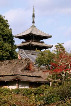 2009秋、紅葉の仁和寺(2/5)：庭園の紅葉、白書院、襖絵、宇多法皇像、宸殿、五重塔遠望