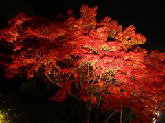 紅葉の讃岐(3) 光葉の栗林公園 ～2009年11月～