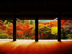 京都の紅葉を求めて～三尾訪問記①　