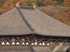 ２００９　秋　奈良へ−４　　奈良県庁屋上から　奈良公園 　古写真を含む