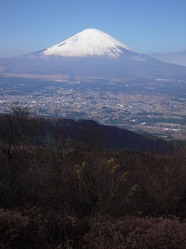 12月8日火曜日。金時山に登りました。<br />今回のルートは足柄峠から。<br />車で万葉公園をめざします。<br />万葉公園から、まだ暫く走ると、足柄城跡に到着。<br />いよいよ登山靴に履き替えて、登山開始。<br /><br />金時山は2度目になります。<br />以前は別のルート、金時神社から入山しました。<br />このルートは、確か、眼下に相模湾を見ながらの登山で、頂上に着いて初めて富士山の姿を見る事ができました。なので感激もひとしお、と言う感じでした。<br /><br />今回のルートは、ずーっと富士の姿を見ながらの登山になります。<br />絶好のトレッキング日和、いざ出発！<br />