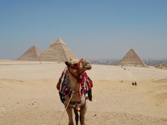 ２００９☆エジプト旅行記☆1日目　ギザ・カイロ 作成中☆