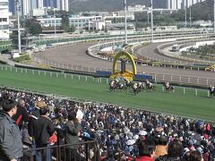 ２００８－２００９年末年始　香港・上海旅行（２）元旦の香港競馬